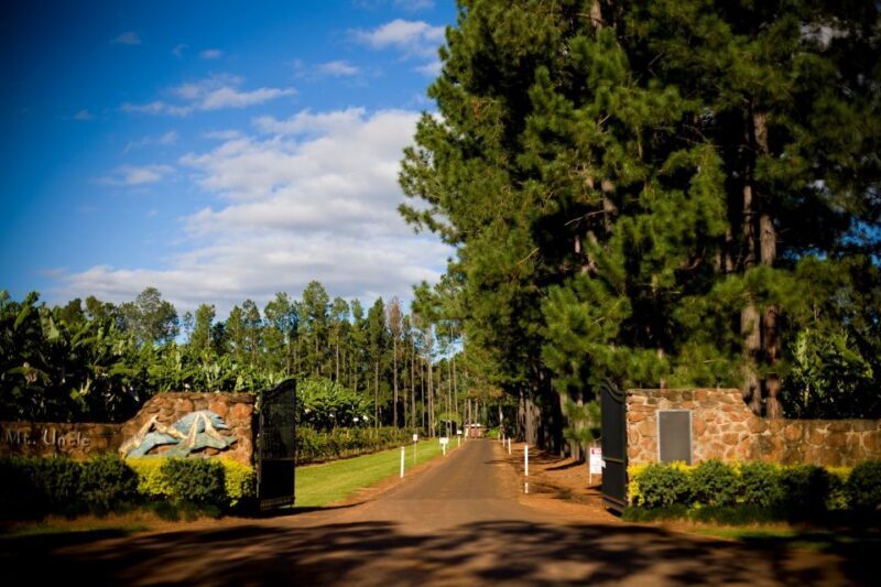 From Port Douglas: Atherton Tablelands Food & Wine Tasting - Who Will Love This Tour?