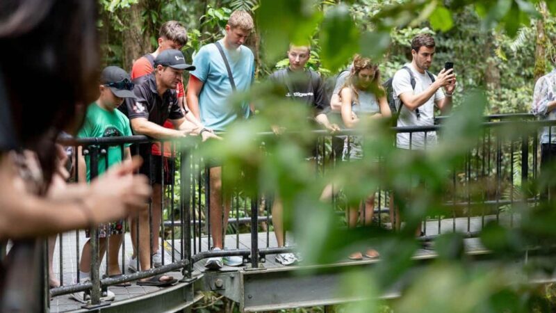 From Port Douglas: Daintree Rainforest & Mossman Gorge Tour - The Itinerary Breakdown: What to Expect