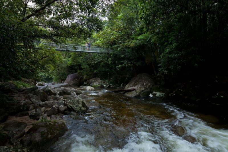 From Port Douglas: Daintree Rainforest & Mossman Gorge Tour - Practical Tips for Travelers