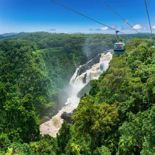 From Port Douglas: Hartley's Crocodile Park, Skyrail & Train - Why This Tour Is a Great Choice