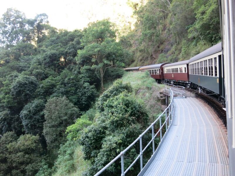 From Port Douglas: Kuranda via Scenic Rail or Skyrail Option - Authentic Insights from Reviews