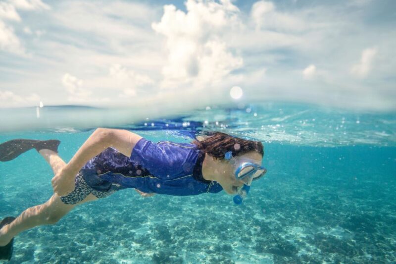 From Port Douglas: Outer Reef Cruise by Luxury Catamaran - Introduction