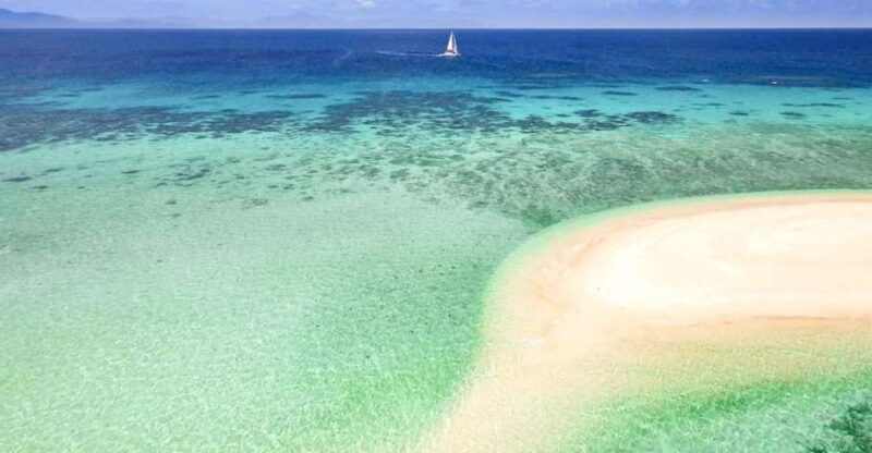 From Port Douglas: Outer Reef Cruise by Luxury Catamaran - What Sets This Tour Apart