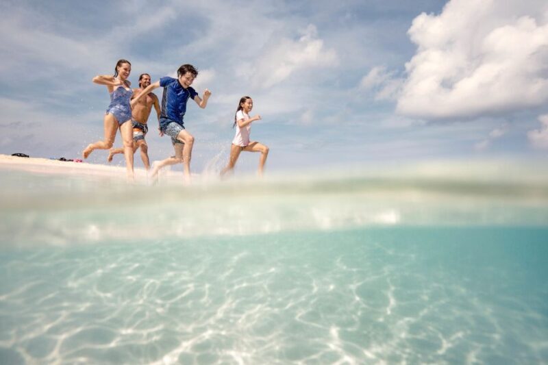 From Port Douglas: Outer Reef Cruise by Luxury Catamaran - Who Will Love This Tour?