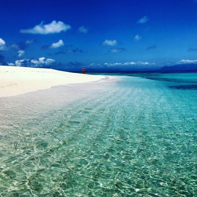 From Port Douglas: Outer Reef Cruise by Luxury Catamaran - Final Thoughts on the Experience
