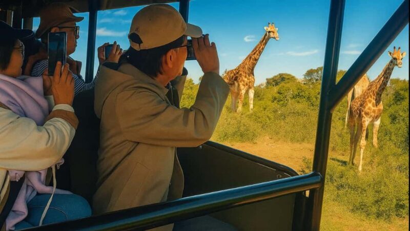 From Port Elizabeth: 5-Day Garden Route Tour to Cape Town - From Port Elizabeth: 5-Day Garden Route Tour to Cape Town