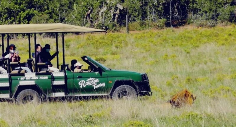 From Port Elizabeth: 5-Day Garden Route Tour to Cape Town - Key Points
