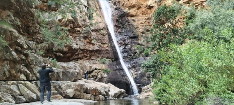 From Port Elizabeth: 5-Day Garden Route Tour to Cape Town - Who Should Consider This Tour?