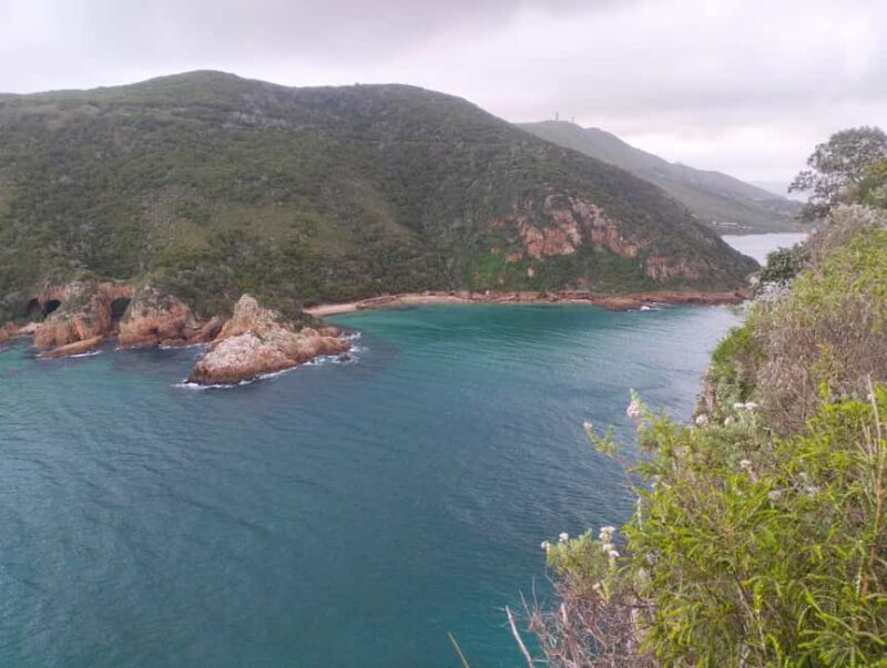 From Port Elizabeth: 5-Day Garden Route Tour to Cape Town - Final Thoughts