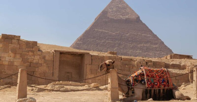 From Port Said: Giza Pyramids, Citadel & Khan Khalili Tour. - Key Points