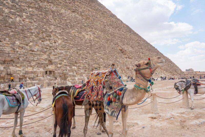 From Port Said: Giza Pyramids, Citadel & Khan Khalili Tour. - FAQ