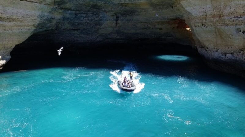from-portimao-benagil-cave-and-marinha-beach-boat-tour