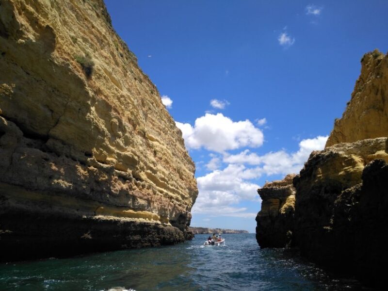 From Portimão: Benagil Caves & Marinha Beach Boat Tour - FAQ: Your Practical Questions Answered