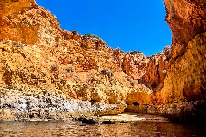 from-portimao-to-paradise-90-min-tour