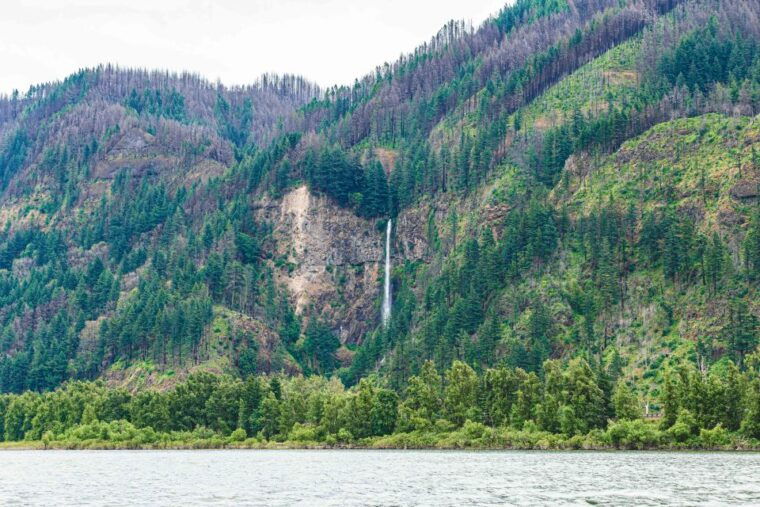 from-portland-7-wonders-of-the-gorge-jetboat-cruise