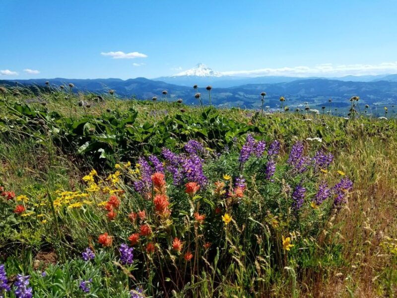 from-portland-full-day-gorge-waterfalls-mt-hood-tour
