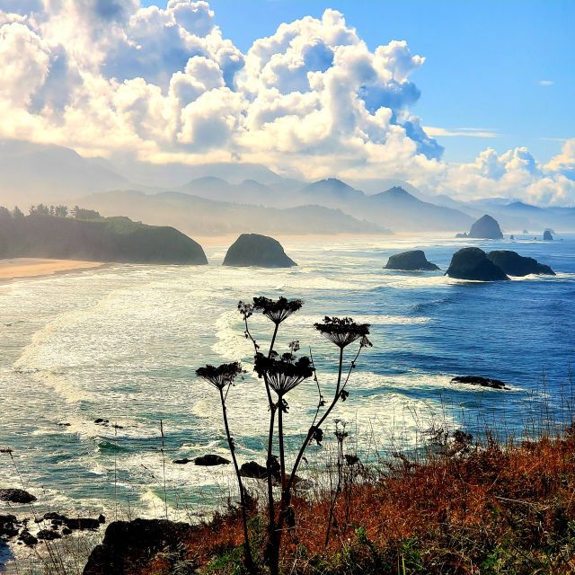 from-portland-oregon-coast-adventure-day-tour-with-pickup