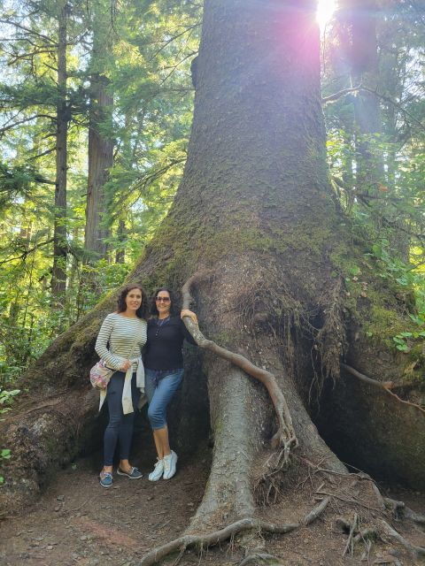 from-portland-oregon-coast-adventure-day-tour-with-pickup
