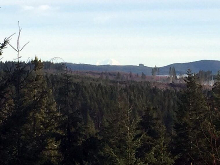 from-portland-oregon-coast-day-trip-cannon-beach-area