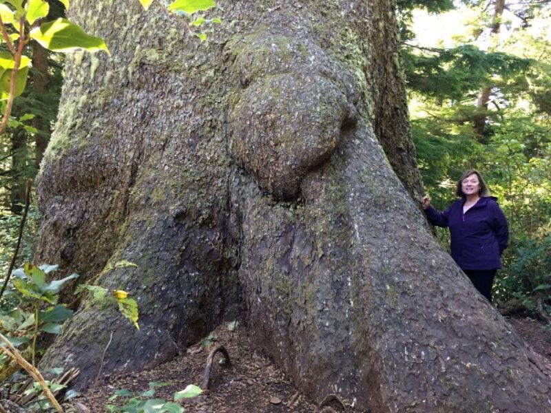 from-portland-oregon-coast-day-trip-to-three-capes-loop