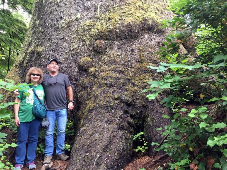 from-portland-oregon-coast-day-trip-to-three-capes-loop