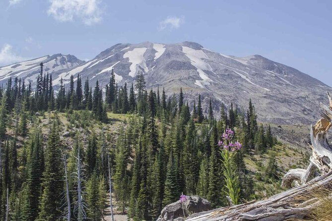 from-portland-to-mt-saint-helen-tour-in-a-small-group