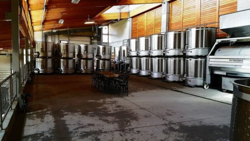 from-portland-willamette-valley-full-day-wine-tour