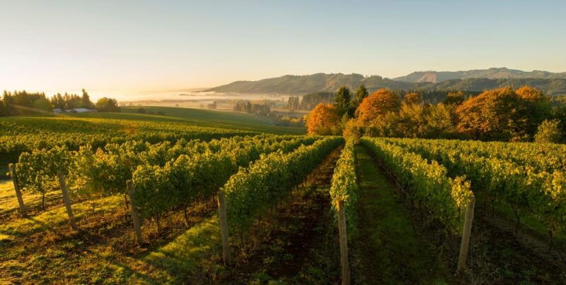 from-portland-willamette-valley-wine-tasting-tour