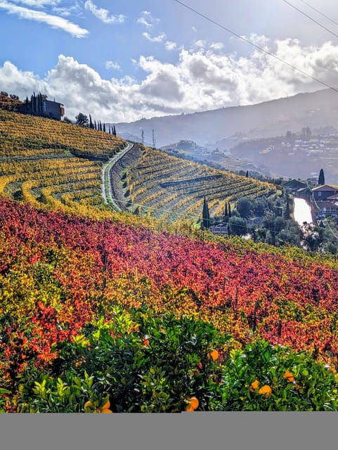 from-porto-2-wine-regions-private-boat-chefs-lunch