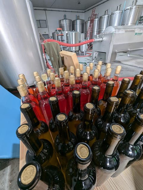 from-porto-2-wine-regions-private-boat-chefs-lunch