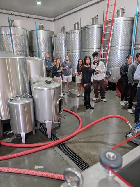 from-porto-2-wine-regions-private-boat-chefs-lunch