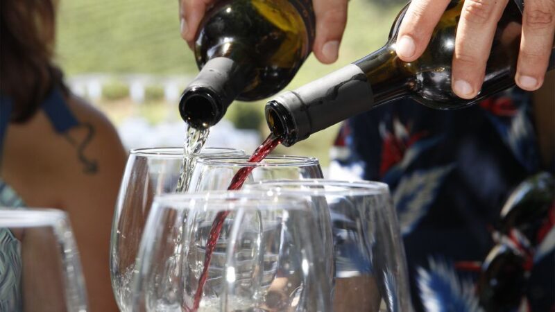 From Porto: 3 Wine Regions and farm lunch with views. - Key Points