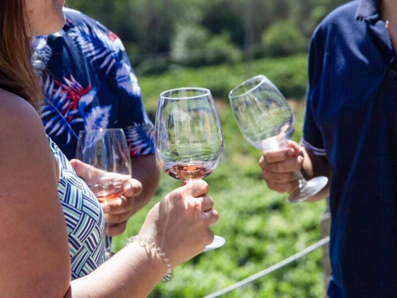 From Porto: 3 Wine Regions and farm lunch with views. - Real Experiences from Travelers