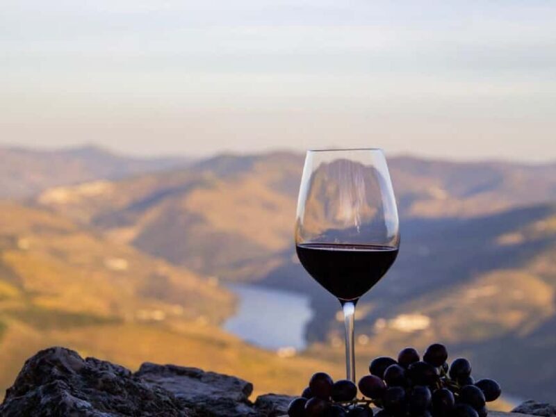 From Porto: 3 Wine Regions and farm lunch with views. - Practical Details & Tips