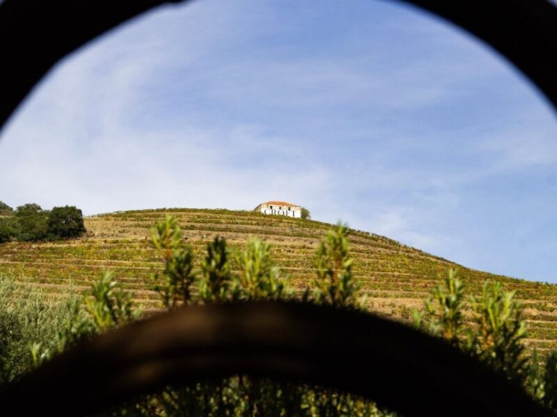 From Porto: 3 Wine Regions and farm lunch with views. - Who Will Love This Tour?