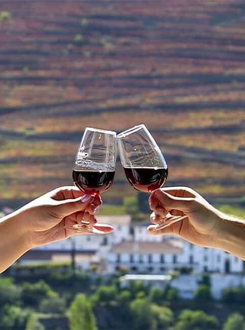 From Porto: 3 Wine Regions and farm lunch with views. - FAQs