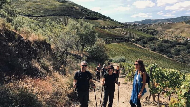 From Porto a private experience to Niepoort with lunch there - Key Points