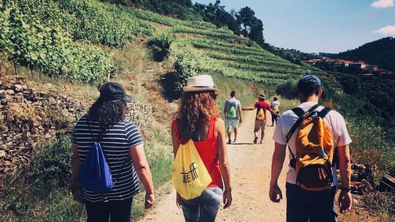 From Porto a private experience to Niepoort with lunch there - Introduction: An Elegant Taste of Douro’s Finest