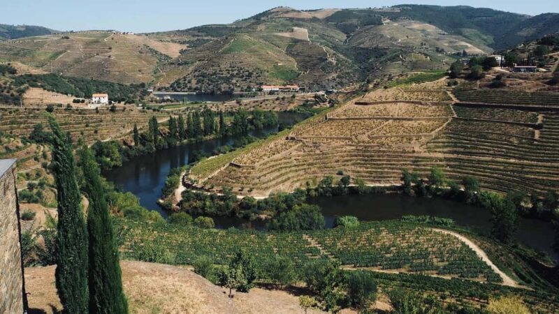 From Porto a private experience to Niepoort with lunch there - FAQ