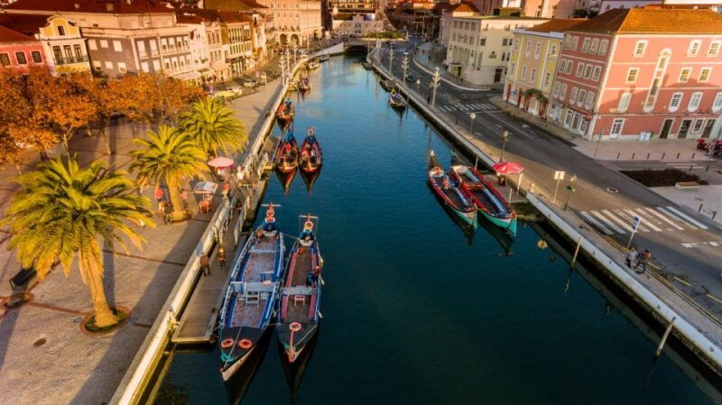 from-porto-aveiro-and-coimbra-private-tour