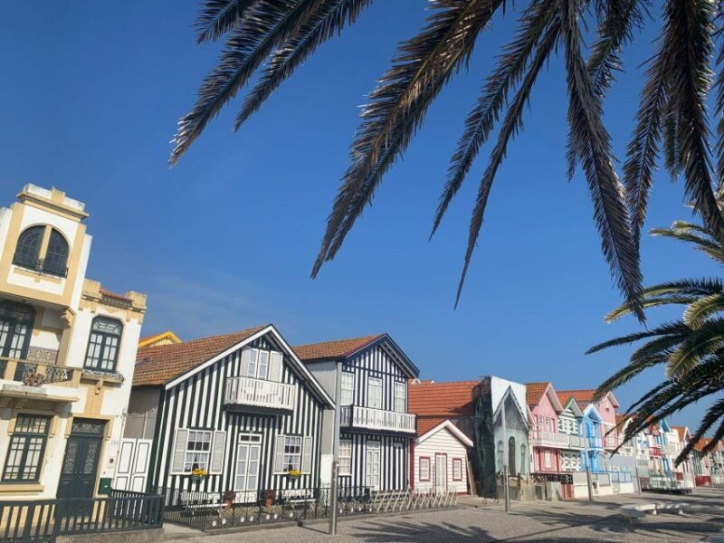 from-porto-aveiro-coimbra-small-group-tour-river-cruise