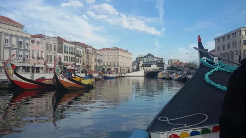 From Porto: Aveiro & Coimbra Tour with Moliceiro Boat Cruise - An In-Depth Look: What to Expect and Why It Matters