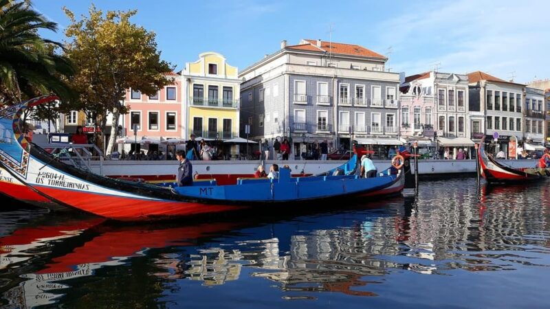from-porto-aveiro-half-day-tour