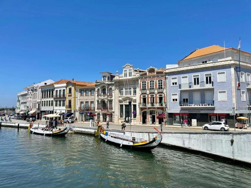 from-porto-aveiro-half-day-tour