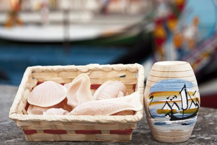 from-porto-aveiro-half-day-tour-with-1-hour-cruise