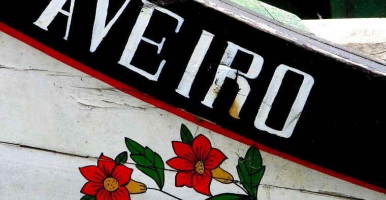 from-porto-aveiro-half-day-tour-with-1-hour-cruise