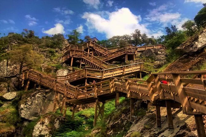 from-porto-aveiro-paiva-walkways-suspension-bridge-and-lunch
