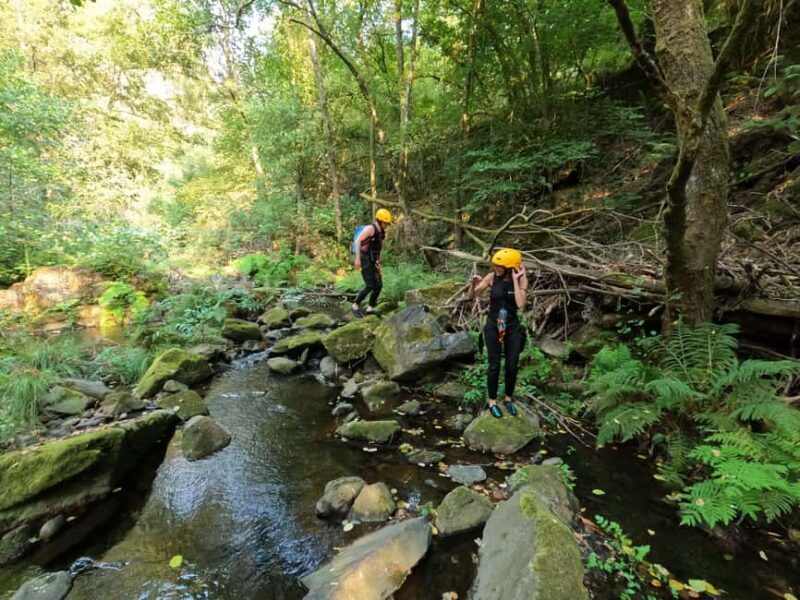 From Porto: Canyoning Experience in Arouca Geopark - Authentic Reviews and Real Experiences