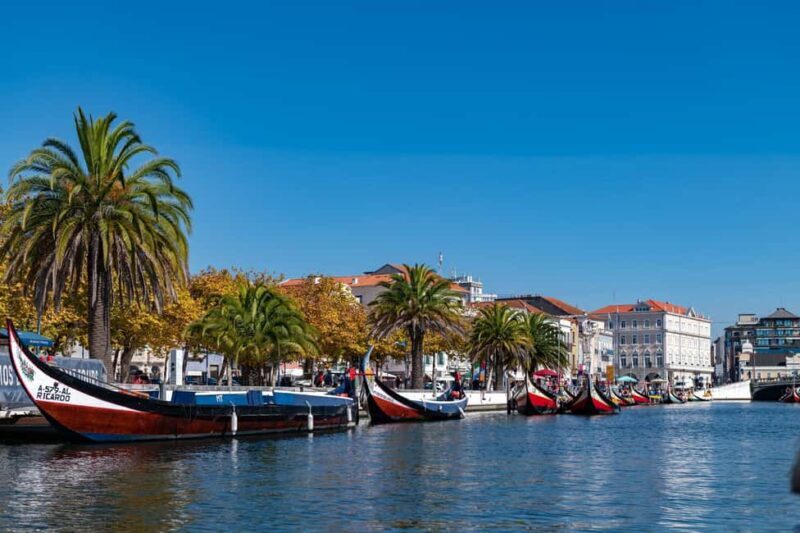 From Porto: Coimbra, Aveiro and Costa Nova Day Tour - Who Would Love This Tour?
