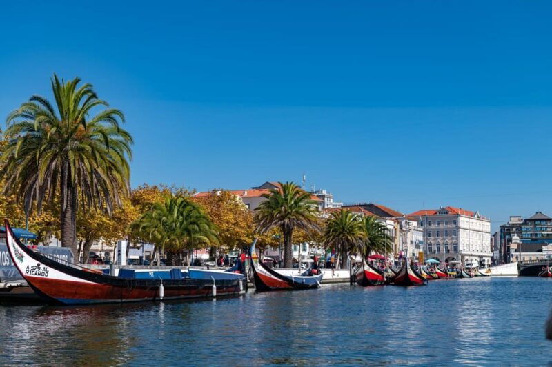 from-porto-coimbra-aveiro-and-costa-nova-day-tour
